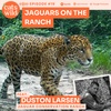 Jaguars on the Ranch: Duston Larsen, San Miguelito Jaguar Conservation Ranch