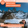 Wild Cat Photography: Sebastian Kennerknecht
