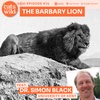 The Barbary Lion: Dr Simon Black, University of Kent