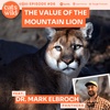 The Value of the Mountain Lion: Dr. Mark Elbroch, Panthera