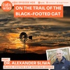 On the Trail with the Black-Footed Cat: Dr. Alexander Sliwa, Black-Footed Cat Working Group