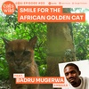 Smile for the African Golden Cat: Badru Mugerwa, Embaka