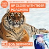 Up Close with Tiger Poachers: Allison Skidmore, Leave them Wild