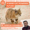 A Sand Cat Powered Future: Dr. Amir Seyyedabbasi, Istinye University
