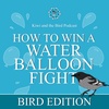 How to Win a Water Balloon Fight - Bird Edition