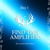 Find the Amplifier - Day 1