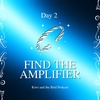 Find the Amplifier - Day 2