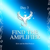Find the Amplifier - Day 3