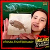 #DWABA 205 - FossilFishFebruary with PaleoKeely!