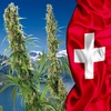 Switzerland Fully Legalized Medical Cannabis Nationwide