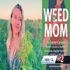 Thoughts on Florida Adult Use Legalization in 2024 and Cannamoms