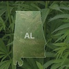 Montgomery Alabama Council Woman Calls for Citywide Citations for Cannabis Instead of Arrest