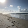 Living the Life God intends for You with Dawn Love