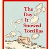 The Day It Snowed Tortillas