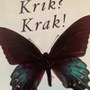 Exploring Haiti through the novel Krik Krak and figurative language and theme