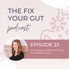 EPISODE 23: 3 Surprising Causes of Chronic Gut Health Issues!