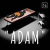 Đi Tìm Danh Tính Của "Adam" | Explain Nation | Những Vụ Án Bí Ẩn - Tập 15