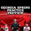 Georgia Spring Practice Preview