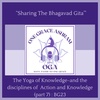BG 23: The Yoga of Knowledge as well as The Disciplines of Action and Knowledge (part 7): The Srimad Bhagavad Gita: Ch4 v33 - v35