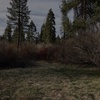 Episode 99: Late Night Frog Chorus At Bigelow Meadow Botanical Area