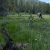 109: Early Summer Morning Beside A Meadow Stream In The Valley Of The North Fork Of The Sacramento River