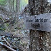 123: Winter Day Beside Water Strider Creek