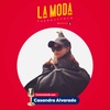 EP. 10 | Casandra Alvarado