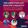 What is gender transformative education?