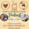 Ep. 47 Mineral Balancing for Thriving Health with Amy Armstrong