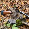 Hunting Wisconsin Ruffed Grouse October 2021. Busting brush and chasing Ruffs in Wisconsin.