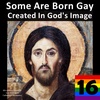 16. Some Are Born Gay: Created in God's Image
