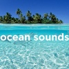 Ocean Sounds Sleep Sounds Noise to Sleep, Study or Relax (2 Hours, Loopable)