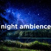 Night Ambience Sleep Sounds, Crickets, Frogs, Owls, Lake, Nature Sounds at Night for Sleep (2 Hours, Loopable)