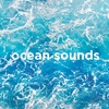 Ocean Waves / Ocean Sounds for Sleep, Rest and Relaxation (2 Hours, Loopable)