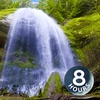 Chill Out by Forest Waterfall 8 Hours I Water Sounds for Sleep and Relaxation