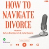 66. How to Navigate Divorce (Guests: Sylvia Breitowich & Julia Dasaro)
