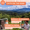 Cats on the Edge: Sergio Guerrero & Liesbeth Frías