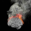 Your Brain on Burnout Part 2: Stressing O.U.T