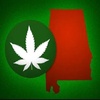 The Alabama Medical Cannabis Commission Has Received Over 94 Applications by License Type