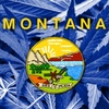 Finding the Best Dispensaries in Montana