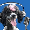 An IMPORTANT Conversation WIth The 40-Year-Old Puppy Virgin