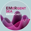 #002: EMeRgent Sea Podcast - What is Health? (with Paul Best)