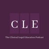 Episode 3: An interview with Professor Amy Lyn Wallace, New York Law School