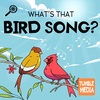What's That Bird Song?