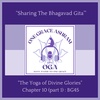BG 45: The Yoga of Divine Glories (part 1): The Srimad Bhagavad Gita: Ch 10 v1 - v8