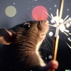Episode 170 - If You Give a Mouse a Bottle Rocket