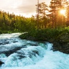 Soothing River Sounds (8 Hours) | Enhance Focus & Study with Relaxing Nature Ambience