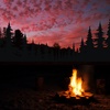 Forest Campfire Ambience (8 Hours) | Sound of Summer Nights for Sleep and Relaxation