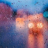 Gentle Rain on Car Roof (8 Hours) | Rain Inside Car Sound for Sleeping 
