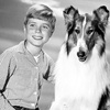 QS_113 - Cani e cinema: Lassie